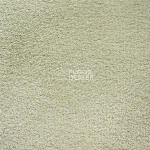 Ковролин Зартекс Sense Highlights (Soft carpet) Sense Highlights 019 Топлёное Молоко фото 1 | FLOORDEALER
